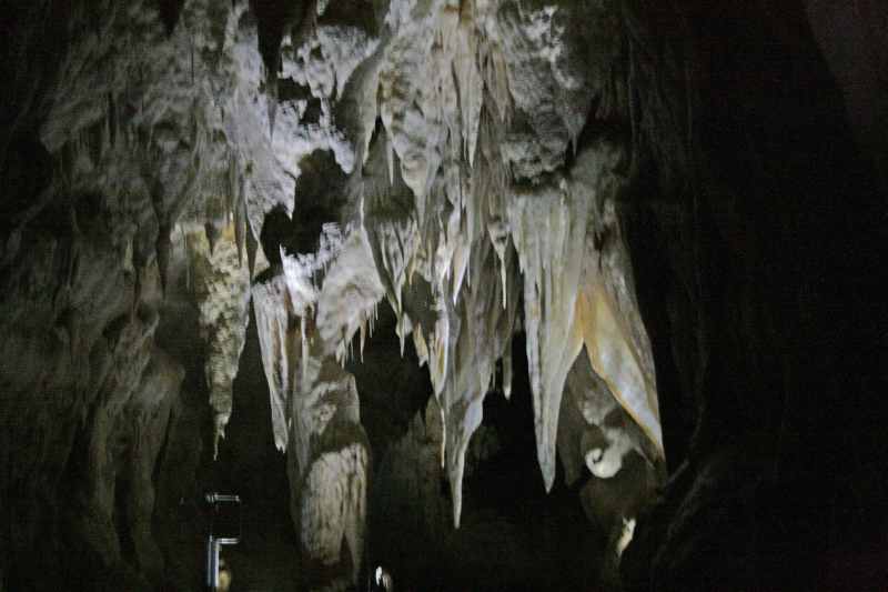 Nieuw-Zeeland 2011 - 0536